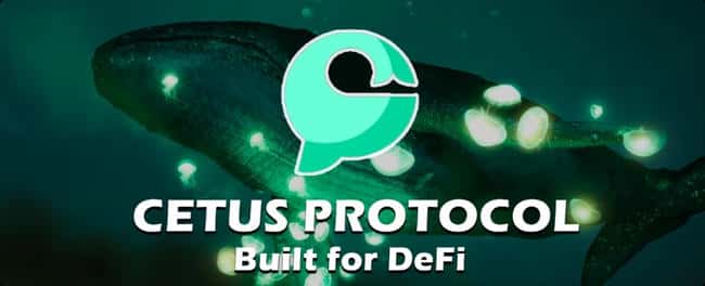 CETUS币有潜力成为千倍币吗？是否有望成为龙头币，值得长期持有吗？