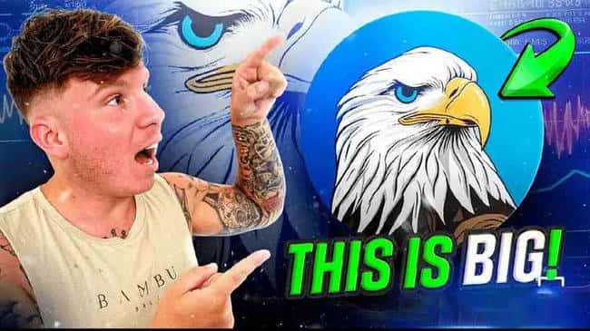 HAWK币全解析：长期投资价值与未来展望