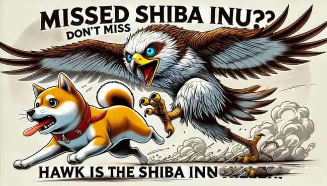 HAWK币全解析：长期投资价值与未来展望