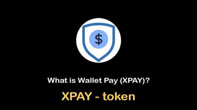 XPAY币详解：未来价格趋势与投资价值分析