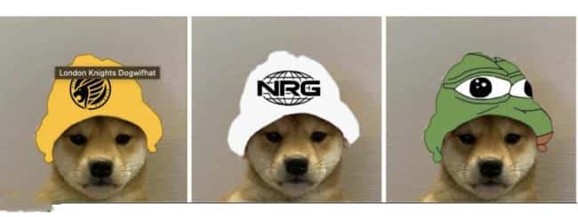 WIF货币是山寨币吗？是否值得投资？