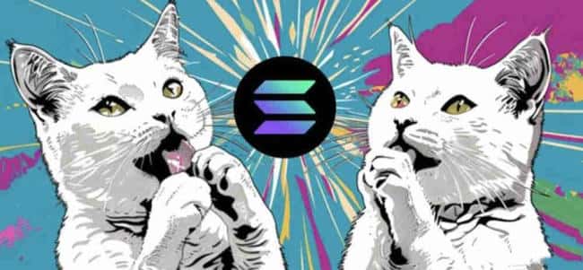 POPCAT是什么币？POPCAT币的前景如何？