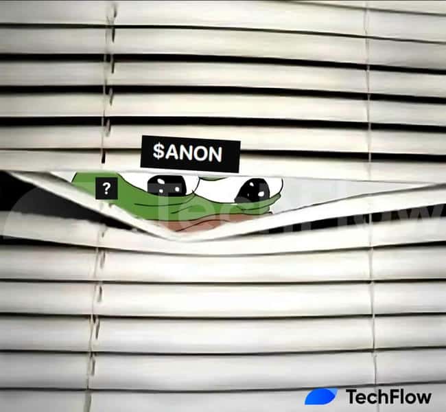 ANON市值悄然破千万，连Vitalik也青睐，它究竟是何方神圣？