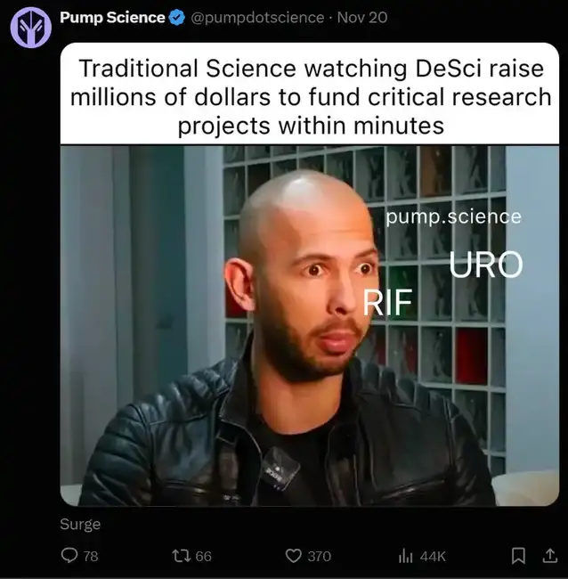 千倍机遇遍地，解密最疯狂的加密叙事新动向