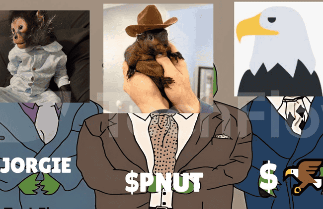 比特币破9万，幕后推手究竟是谁？