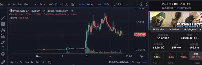 Binance即将上线PNUT，回顾网红松鼠Peanut引领的美国政治风潮