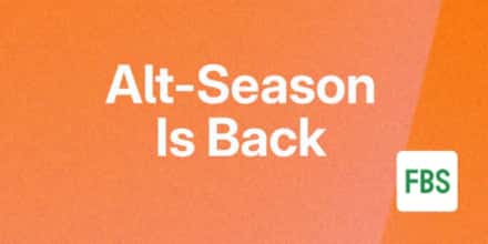 2024-2025年山寨季重磅回归：全面指南