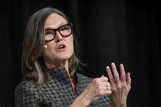 女股神预测：2030年比特币或破百万美元，特朗普上任将引发新创并购热潮