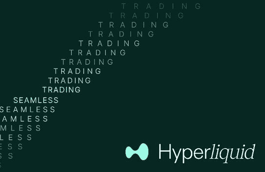 Hyperliquid未来展望：EVM未上线前，如何精准评估其发展潜力？