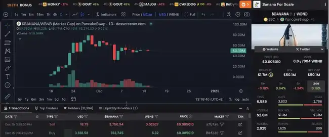 探寻下一个马斯克概念币：BANANAS31或将引领潮流