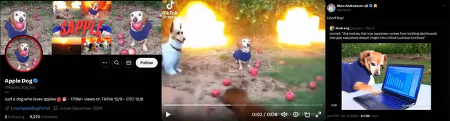 Solana链再现金狗，Luigi暴涨500倍，APPLE突破40M，今日meme热点何在？