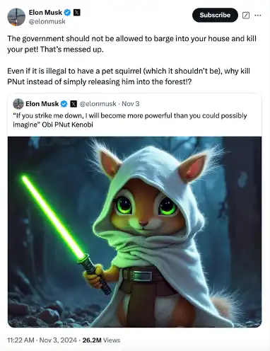 探寻下一个马斯克概念币：BANANAS31或将引领潮流