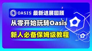 Oasis网络生态全攻略：交易所、DEX及质押深度指南