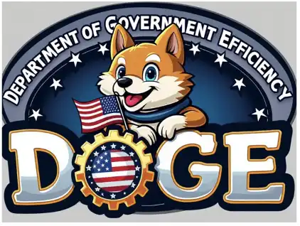 探寻下一个马斯克概念币：BANANAS31或将引领潮流