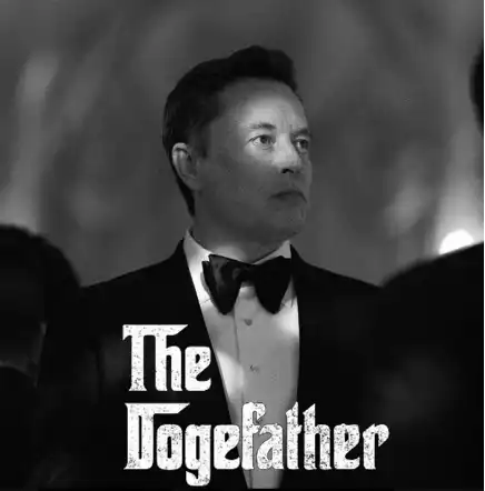 探寻下一个马斯克概念币：BANANAS31或将引领潮流