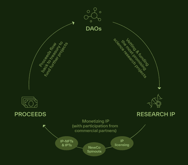 币安力推DeSci平台BIO Protocol：估值究竟有多高？