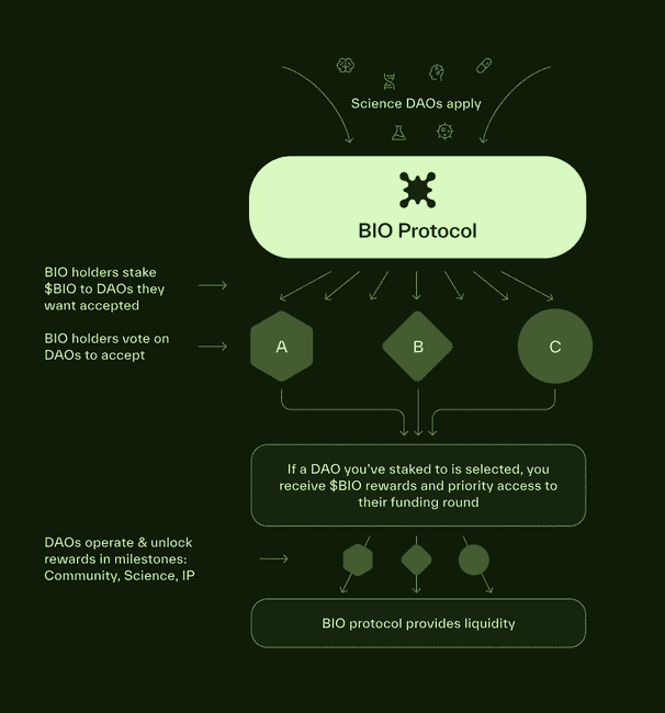 币安力推DeSci平台BIO Protocol：估值究竟有多高？
