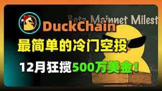DuckChain空投：500万美金狂揽，2025年1月TGE，低门槛高收益
