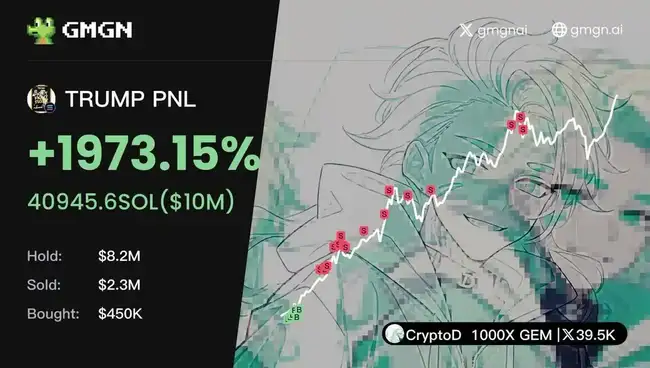 TRUMP背后的盈利大佬：揭秘百万美元收入的KOL们