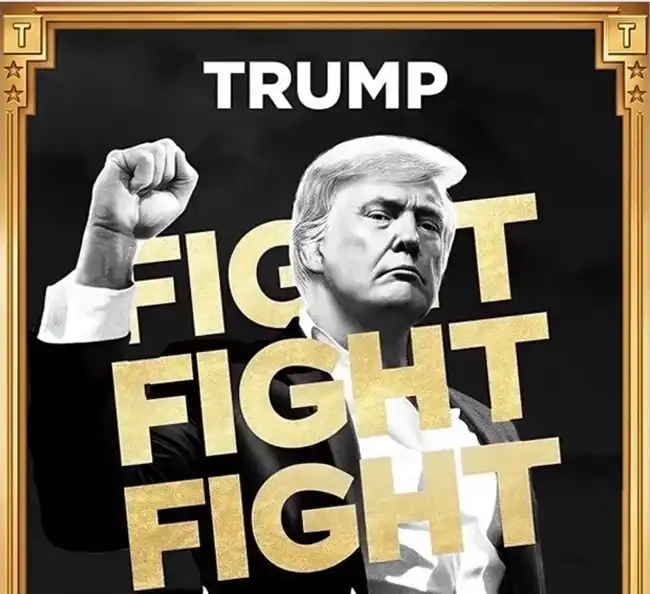 TRUMP背后的盈利大佬：揭秘百万美元收入的KOL们