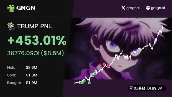 TRUMP背后的盈利大佬：揭秘百万美元收入的KOL们