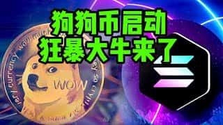 狗狗币暴涨:解读2025年币圈新机遇与投资风险