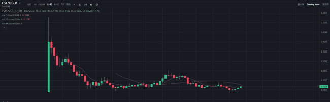 币安新币TST暴跌70%:0.16美元是抄底良机还是深渊陷阱?