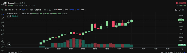 CZ爱犬Broccoli掀起链上Meme热潮，哪些加密资产值得关注？