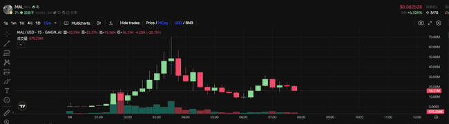 CZ爱犬Broccoli掀起链上Meme热潮，哪些加密资产值得关注？