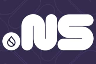 Sui Name Service (NS) 价格飙升:潜力爆发还是短暂狂热?