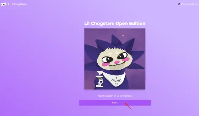 Monad测试网交互教程：手把手带你快速上手