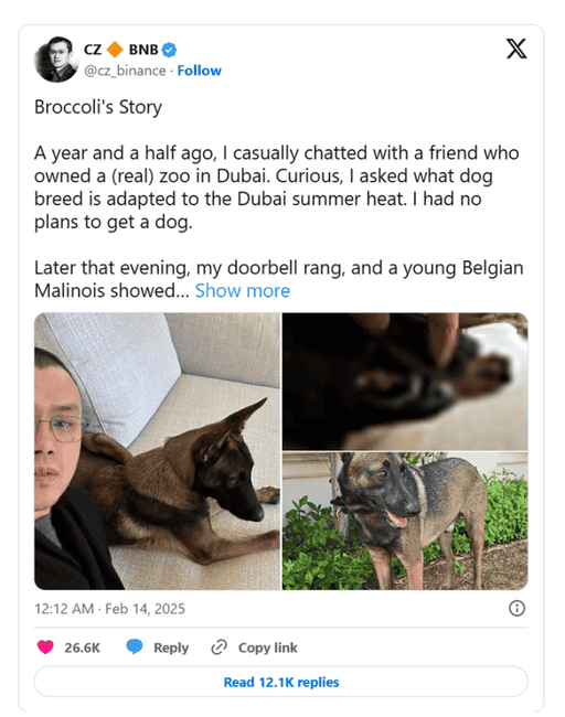 Memecoins风靡：市场需求驱动还是监管缺失下的投机泡沫？