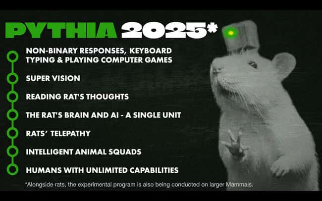 脑机DeSci新纪元：PYTHIA能否成为下一个领航者？