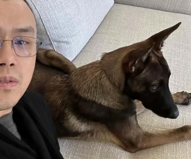 赵长鹏爱犬名花椰菜，坚决不发迷因币：社群活动与我无关