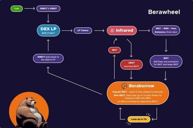 Berachain发币在即,全面揭秘生态特色与核心项目亮点