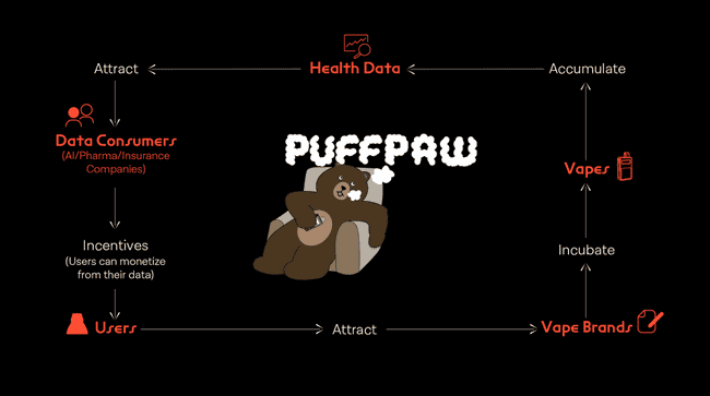 Berachain发币在即,全面揭秘生态特色与核心项目亮点