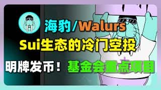 Sui公链2025重磅项目Walrus空投：深度参与指南及领取教程