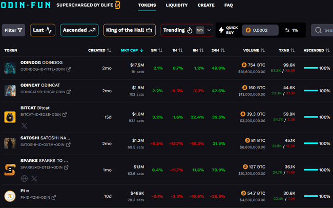 Odin引领新风潮，熊市中的大金狗能否再现辉煌？