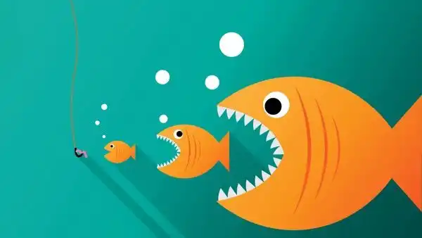 zkLend遭黑客攻击失窃，是黑吃黑还是内部策划？