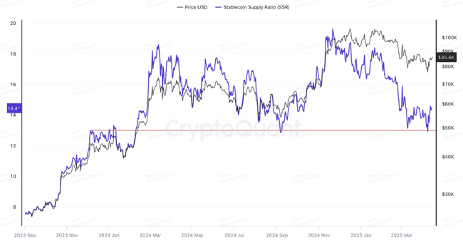 市场分歧升级：反弹转反转还是下跌中继？深度回顾与解析