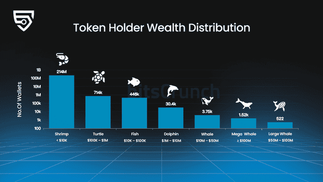bitsCrunch深度研报：比特币下步牛市预兆？4图详解链上行为趋势