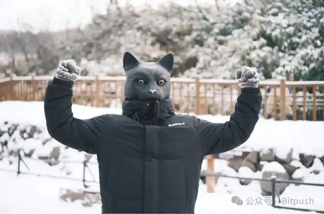 日本房产新趋势：猫总专访揭秘加密货币购房交易