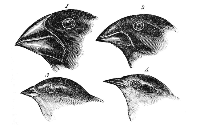 Sui亚秒级MPC网络震撼登场：FHE、TEE、ZKP与MPC技术大战一触即发