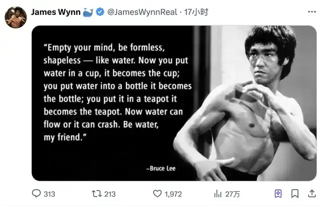 12亿巨资多空激战！神秘交易巨鳄James Wynn的李小龙式操盘秘籍！