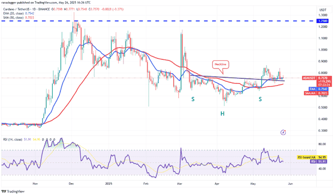 机构豪掷29亿疯抢！比特币冲刺13万，山寨币即将跟风暴涨？