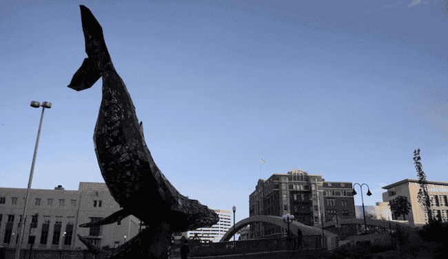 链上巨鲸豪掷2.5亿做空主流币，竟浮亏700万！市场风云突变！