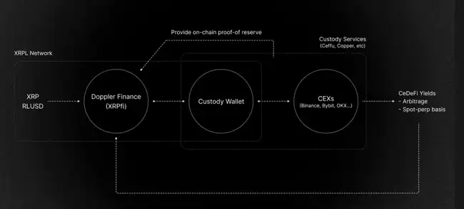 XRP 1亿美元和解案后：从邪教币到合规巨头的华丽转身