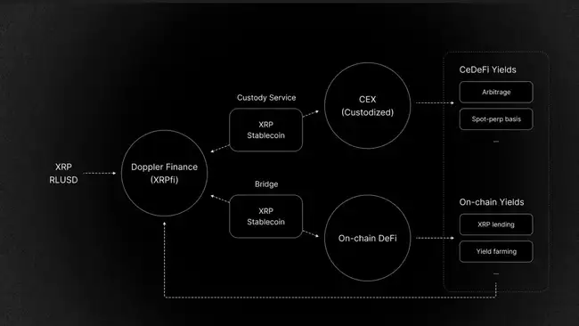 XRP 1亿美元和解案后：从邪教币到合规巨头的华丽转身