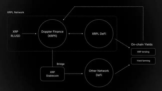 XRP 1亿美元和解案后：从邪教币到合规巨头的华丽转身