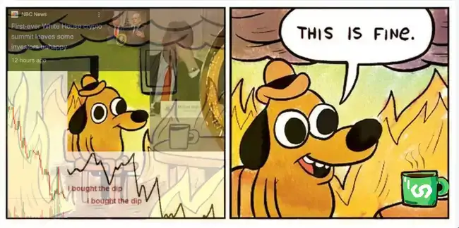 Infini联创郡主揭秘：U卡业务为何难逃“关停潮”？